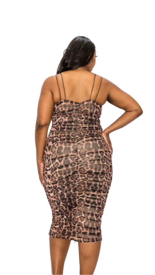 Parle Curve Leopard Print Midi Dress